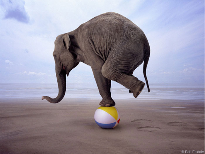 Read more about the article A Balancing Act