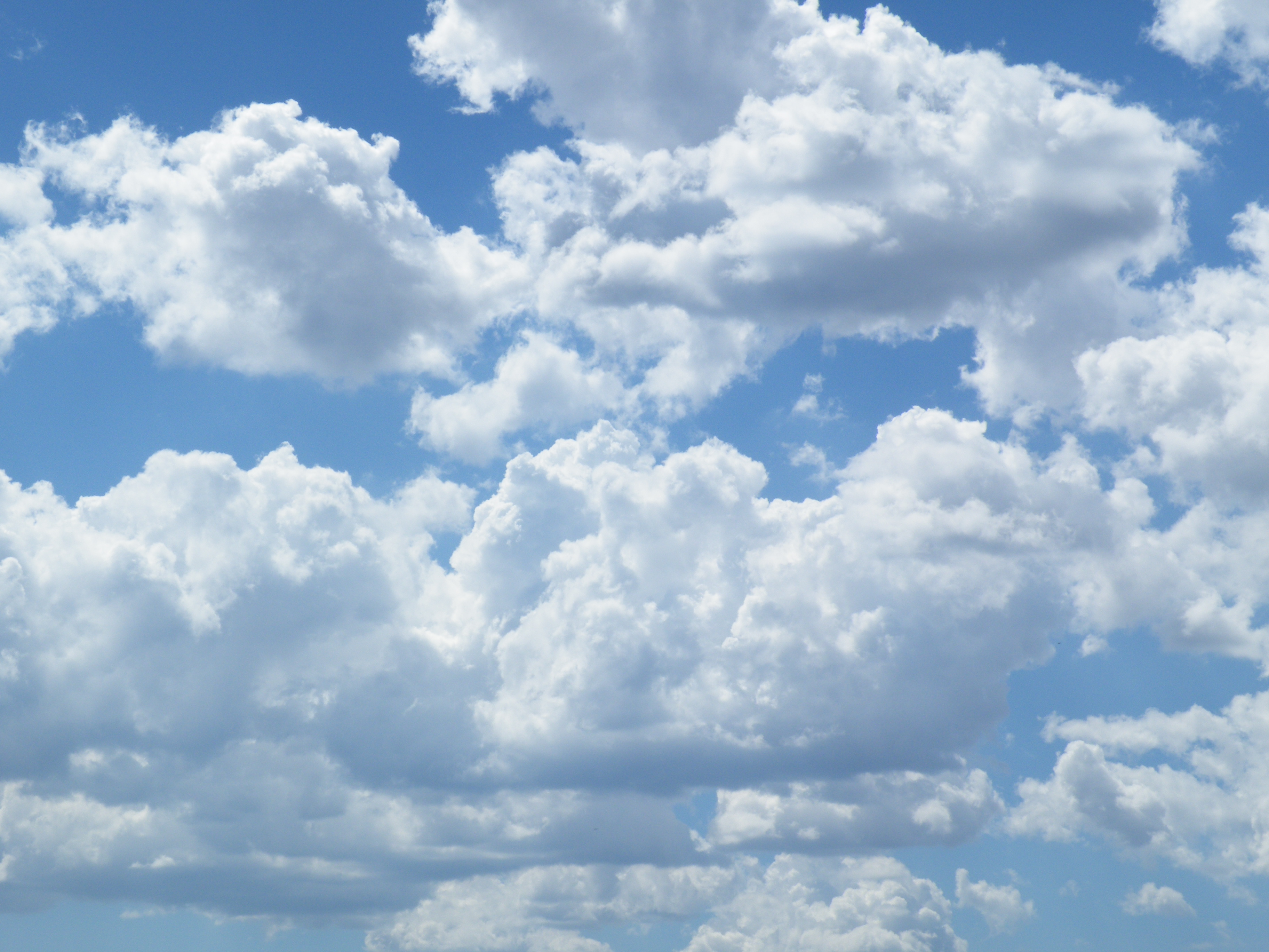 Read more about the article Chasing Clouds