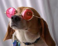 Read more about the article The Recession Seen Through Rose Tinted Spectacles