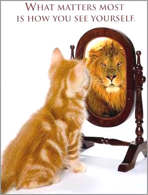 Read more about the article The Self-Esteem Coffee Bean