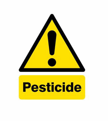 Read more about the article Bleeding Edge Corn