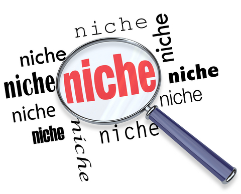 Read more about the article Nichely Done