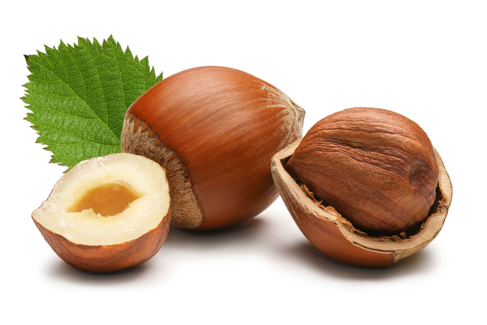 Read more about the article Nuts!